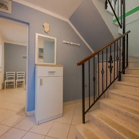 فيلة Seaside Mia تروغير